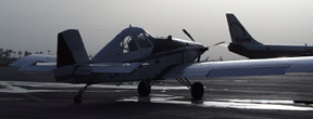 31-airforce.jpg (30350 bytes)