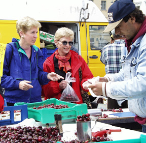 8-cherries.jpg (107636 bytes)